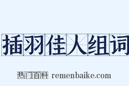 插羽佳人组词是什么意思的图片